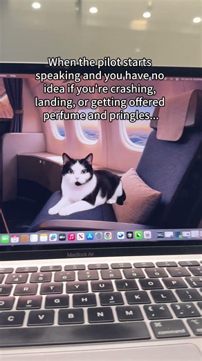 Want your own desktop pet? Be one of the first beta users of the new app!‪@FureverDockApp‬ #cats