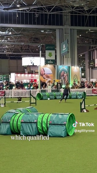 POV: Your dog qualifies for the main arena at Crufts on her first try 🤯🏆 Day 1 and I’m still processing! 🥹🩷 #AgilityTraining #crufts2025dogshow #crufts #dogshow #cruftsagility #agilitydog #dogsports #dogtraining #dogowner #agility #dogcommunity #sportdog #dreamcomestrue