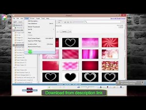 Picasa 3.9 B 141.259