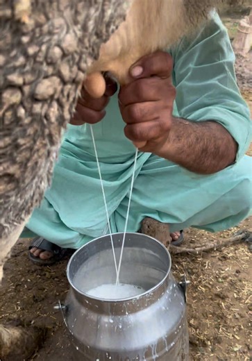 Exploring Village Life in Lo Hajara