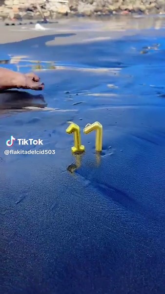 Celebrate My 18th Birthday at the Beach!