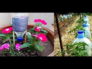 Plastic Bottle Drip Water Irrigation System Very Simple Easy #3 ll DIY home drip irrigation system