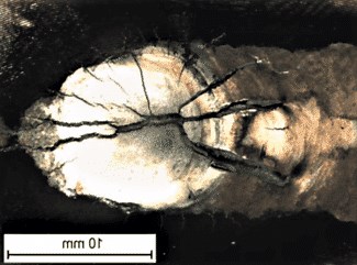 Crater crack in Welding: Mistake you don't want to make