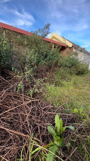 875K views · 14K reactions | Work on building your resilience, grit & determination everyday☝️#satisfying #transformation #makeover #garden | Dee’s Lawn & Landscaping | Facebook