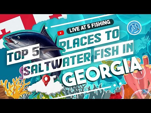 Top 5 Places to Saltwater Fish in Georgia