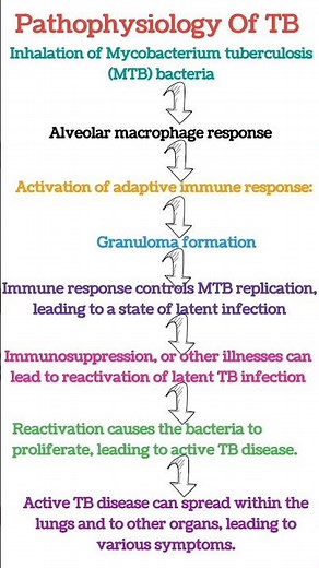 Pathophysiology of tuberculosis | tuberculosis #health #tb #medical