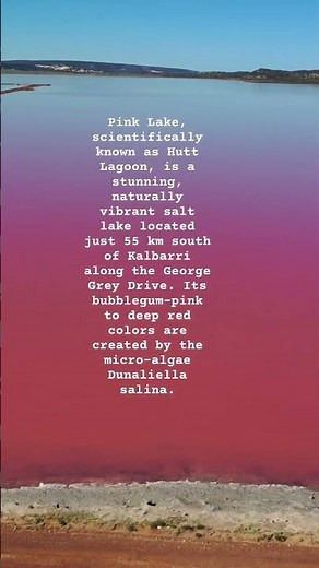 The Pink Lake , Kalbarri Western Australia #naturalbeauty #nature #travel