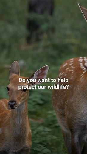 Enjoy Your Career By Earning A Degree In Something You Care About. 100% Online Classes Starting Soon. | Unity Environmental University