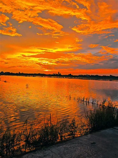 anh là trai miệt vườn #chill #chillphongcanh #chillmientay #mientayquetoi