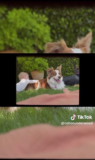 Colton Underwood: Insights into His Journey on The Bachelor