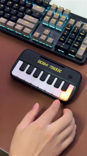 ミニピアノを見るのは初めて#音楽