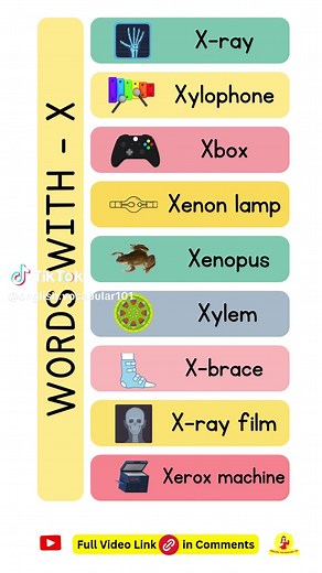 Words with X: Expanding Your English Vocabulary