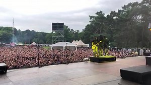 Is this a true guitar dive bomb? Win or fail, you decide! 😂 | Herman Li