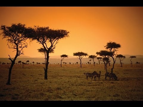 Les 50 plus beaux itinéraires autour du monde