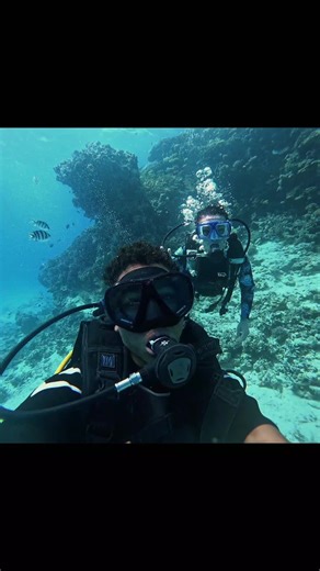 Explore Scuba Diving in the Red Sea with Marine Yacht