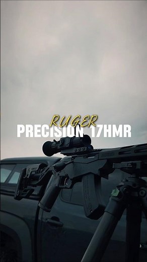 Where RUGER meets the DNT ZULUS HD V2 #rugerprecision