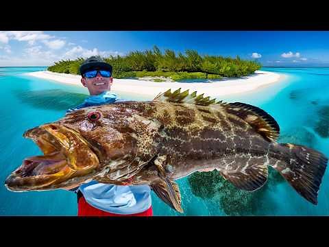 REMOTE Island LOADED with Fish! Catch Clean Cook (Bahamas Fishing)