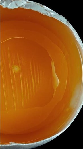 What an Egg Looks Like at 0.5× 🥚🔍 (Stacked Macro)