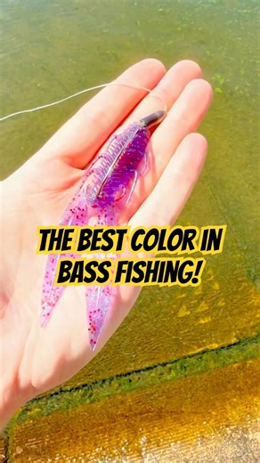Junebug Red is THE BEST Color in Bass Fishing!