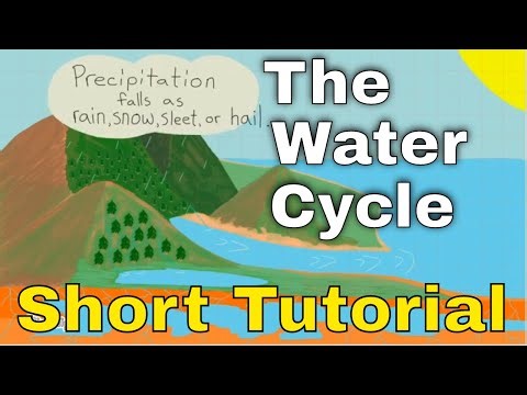 The Water Cycle Short Tutorial