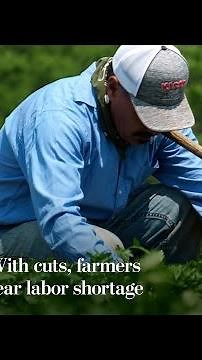 With cuts, farmers fear labor shortage