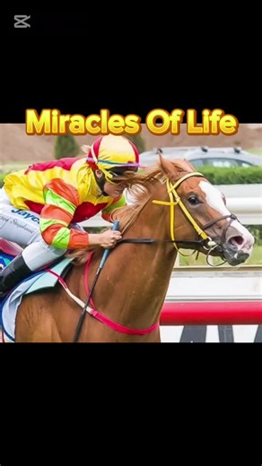 Miracles Of Life #miraclesoflife #horseracinglover #horseracinglife #kon #tiktokhorsechalleng #horse #koniewyscigowe #legends #horseracing #fyp #dlaciebie