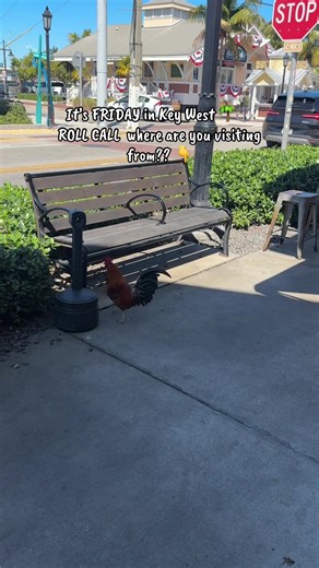 Celebrating Friday in Key West: Roll Call!