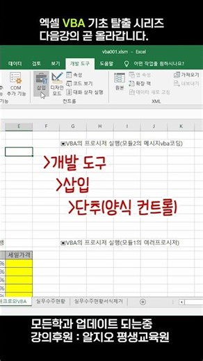 [VBA Basics 11] How to create a run button in Excel and run a macro with one click (feat. The sec...