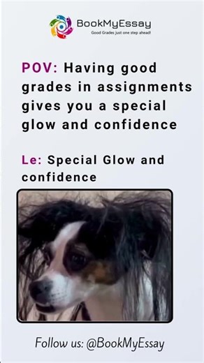 When Your Assignments Give You That Glow & Confidence 😎✨ #assignment #writingadvice