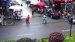 Dog goes on rampage, injuring 23 in street attack