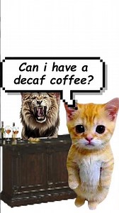 How do periods work? Explaining on kittens.