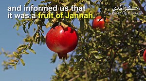 328K views · 4.1K reactions | The Pomegranate (Anar) [Prophetic Foods and Health Benefits] مسنون پھل انار کھانے کے طبّی (میڈیکل ) فوائد عالمی مبلغ اسلام پیر ثاقب شامی | Saqib Iqbal | Facebook