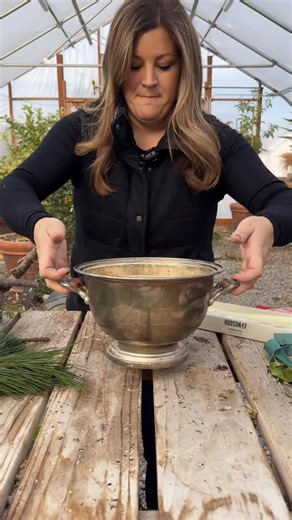 Garden Answer on Instagram: "Easy Christmas centerpiece! 🎄❤️ (Full video and links on YouTube!)"