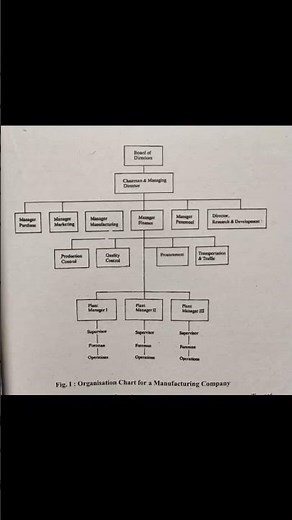 Organisational chart for manufacturing company #organisation #company #shorts