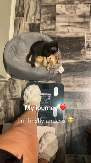 Shellie Sanders on Reels