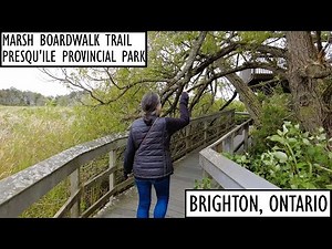 🚶‍♀️ Marsh Boardwalk Trail! 🌿 | 4K Nature Walk at Presqu'ile Provincial Park, Brighton, Ontario