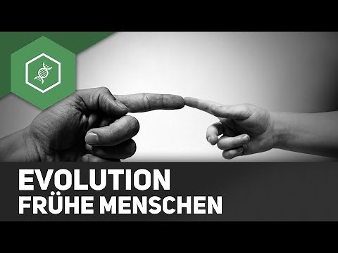 Human Evolution - Early Humans