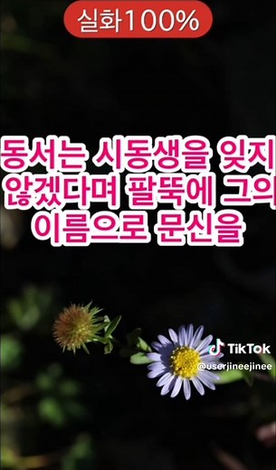 (막장사연)장례식장에서 바람나 이혼, 재혼한 동서 #동서 #막장 #이혼 #재혼