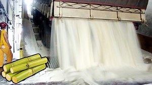 COMO se HACE el AZÚCAR de la caña de azúcar | ¿Cómo se obtiene el azúcar? ✳️SUSCRÍBETE ▶ https://goo.gl/xA16Br | Fabricando