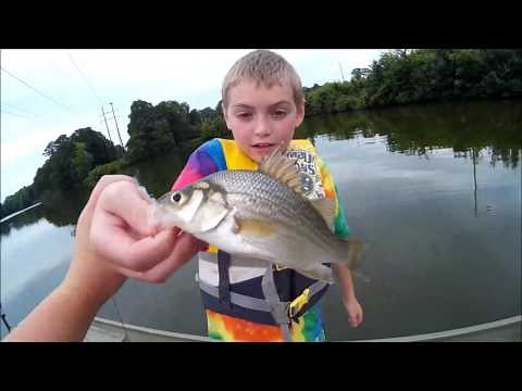 How to throw a cast net for minnows