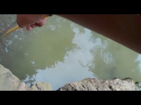 I fished on the cave site (AND HOW TO MAKE BUDGET TENKARA LINE)