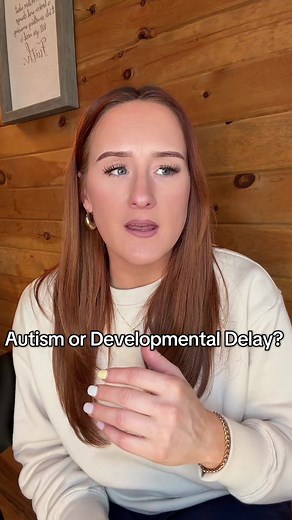 Understanding Autism vs. Developmental Delay