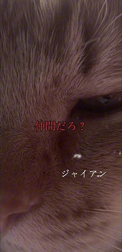 ドラえもん達の超感動名言…からのラストに全部持っていかれたw #アニメ好き #アニメ名言 #anime #名言