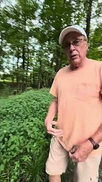 SOMETHING OLD-SOMETHING NEW and SOMETHING HEALTHY FOR YOU!!! #poison ivy #health #gardening #garden