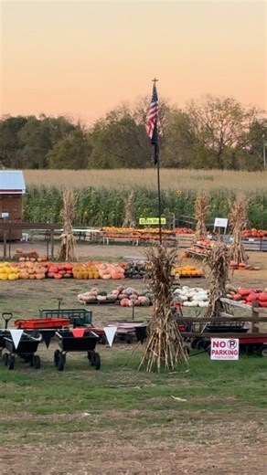 I just passed the cutest most organized pumpkin patch ever in Afton by my old farm!!! Go check it out on 15th st Afton, MN. | Brooke Fleetwood