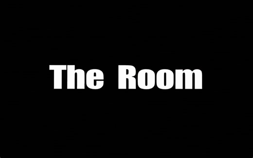 房间THE ROOM【烂到极至成经典神作】