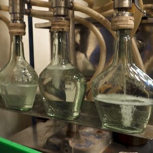 11K views · 123 reactions | The spirit of Indian Feni: A decades-old country liquor, which fell out of favor after the arrival of foreign alcohol, is making a comeback on the global stage. | DW News | Facebook