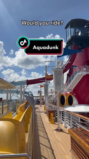 Experience the Thrill of the Aquadunk on Disney Magic
