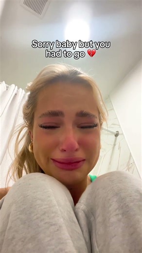 Some day we will forgive him… ❤️‍🩹🥺 #dog #goldenretriever