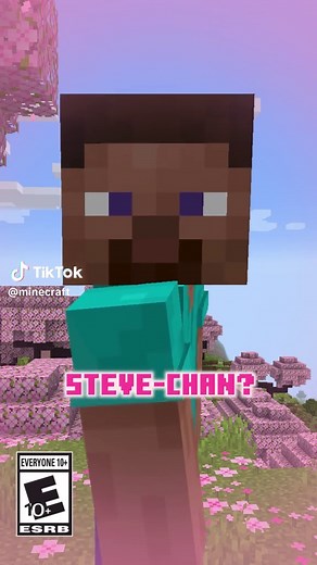 Minecraft Chicken Farm: Fun Memes and Edits